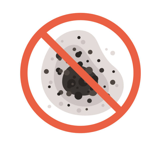 Professional Mold Removal in Watchung, NJ