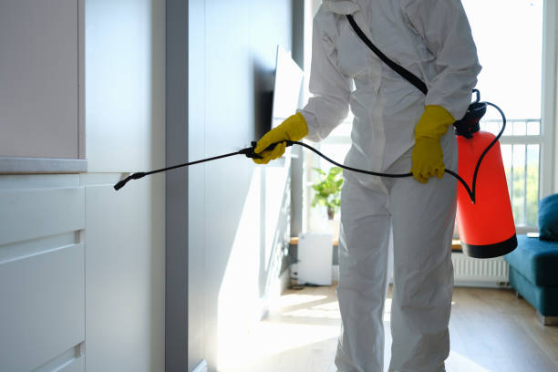 Best Air Quality Testing for Mold Spores  in Watchung, NJ