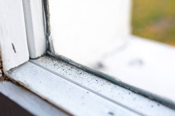 Best Mold Removal for HVAC Installations  in Watchung, NJ