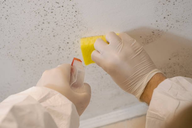 Best Forensic Mold Investigation  in Watchung, NJ