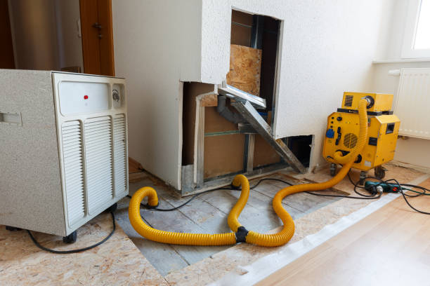 Best HVAC Mold Inspection and Cleaning  in Watchung, NJ